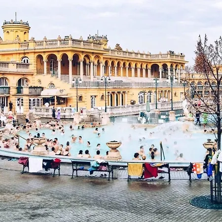 Grand Boulevard Gem Historic With Balcony Views Appartement *